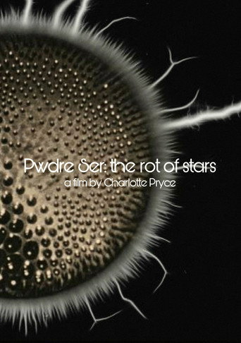 Movie poster for Pwdre Ser: the rot of stars (2018)