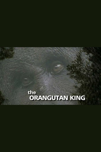 Movie poster for The Orangutan King (2005)