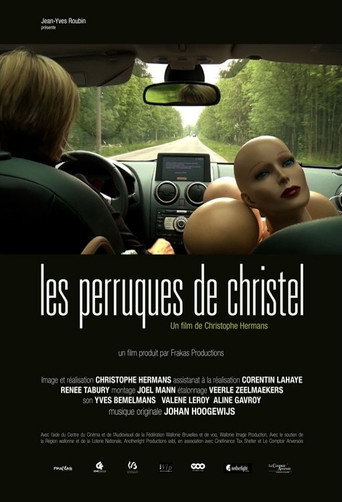 Movie poster for Les Perruques de Christel (2013)