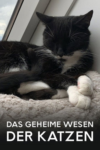 Movie poster for Das geheime Wesen der Katzen (2021)