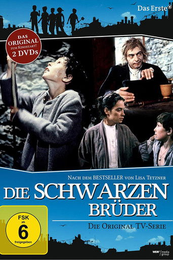 Die schwarzen Brüder poster