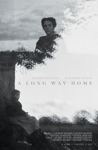 A Long Way Home poster