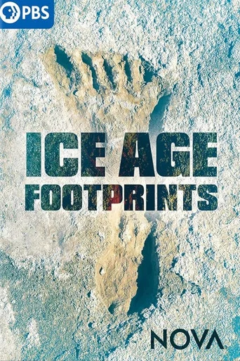 Movie poster for Ice Age Footprints (2022)