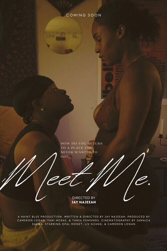 Movie poster for Meet Me. (2025)