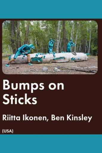 Movie poster for Bumps on Sticks (2025)