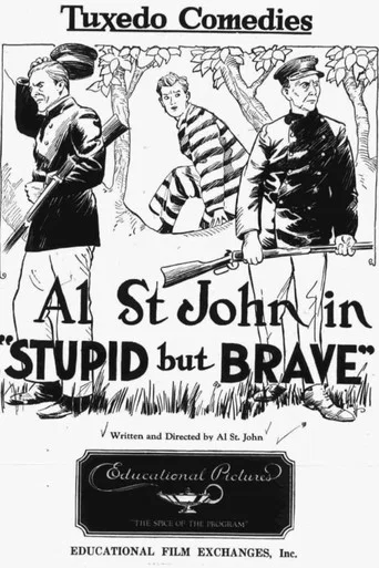 Movie poster for Stupid, but Brave (1924)