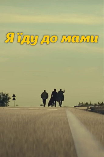 DZIDZIO: I'm going to my mom poster