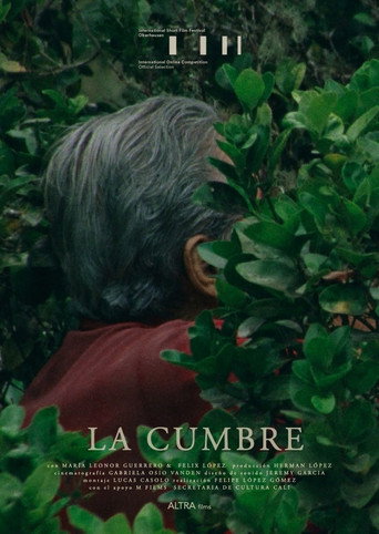 Movie poster for La Cumbre (2021)