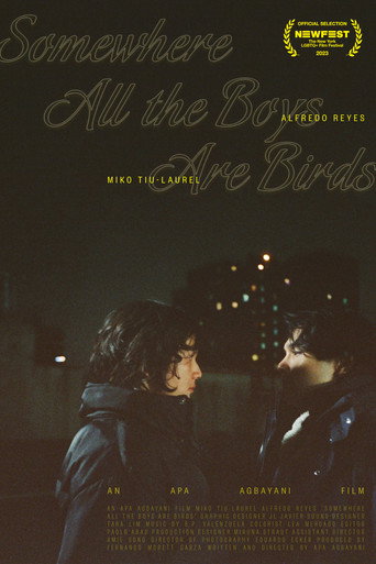 Movie poster for Somewhere all the boys are birds (2023)