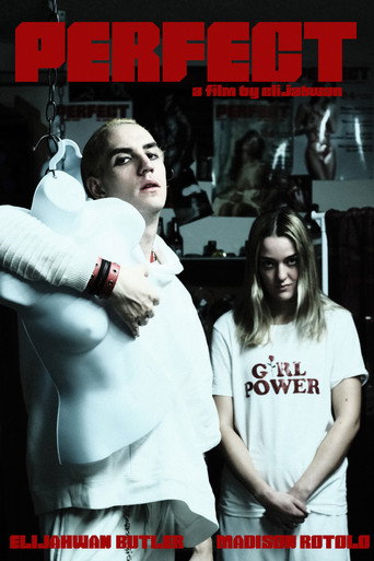 Movie poster for Perfect (2021)