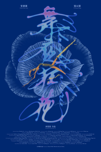 Movie poster for Midnight Valerie (2025)