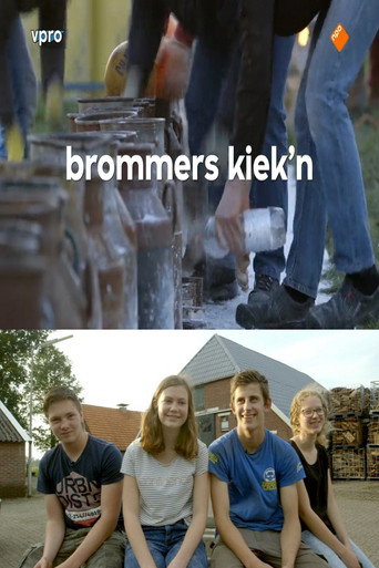 Movie poster for Brommers Kiek'n (2017)