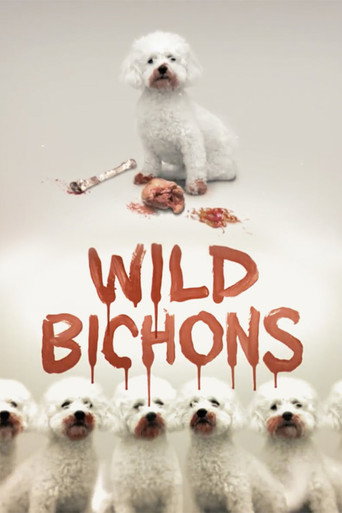 Movie poster for Wild Bichons (2013)