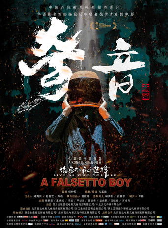 A Falsetto Boy poster
