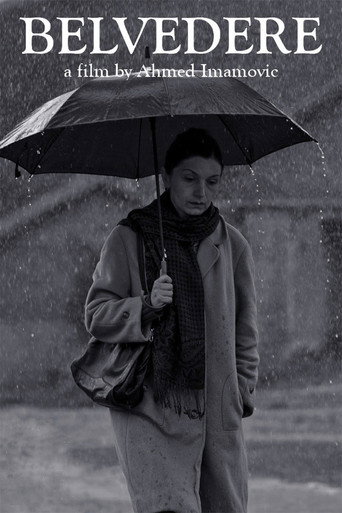 Belvedere poster