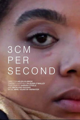3 cm per second poster
