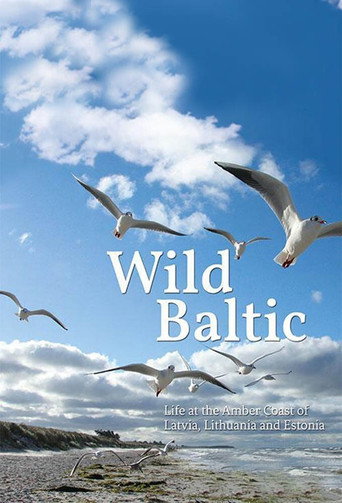 Series poster for Wild Baltic (2018)