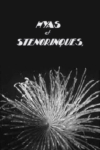 Movie poster for Hyas and Stenorhynchus (1929)