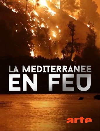 Movie poster for La Méditerranée en feu (2026)