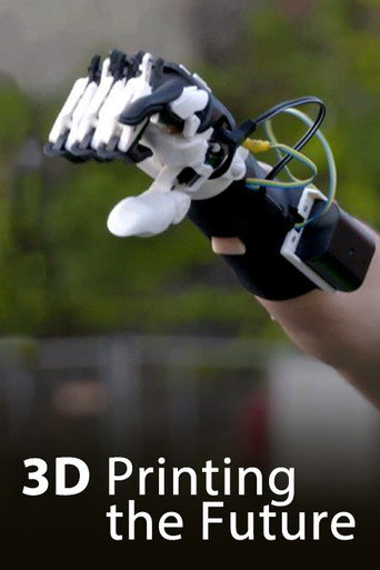 Movie poster for 3D - Printing the future (2017)