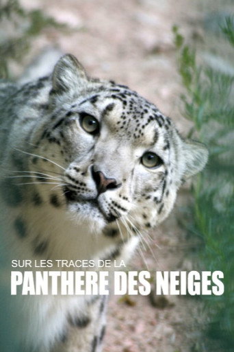 Movie poster for Sur les traces de la panthère des neiges (2018)