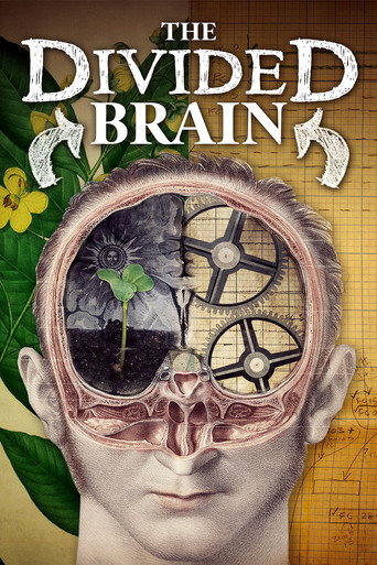Movie poster for The Divided Brain (2019)