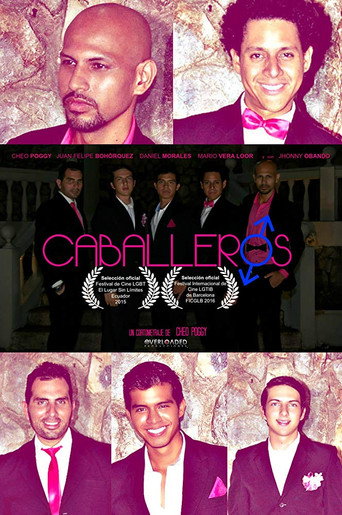 Movie poster for Gentlemen (2015)