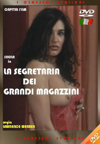 Movie poster for La segretaria dei grandi magazzini (1993)