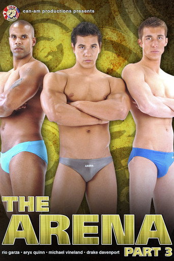 Movie poster for The Arena 3 (2011)