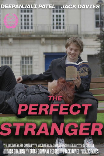 Movie poster for The Perfect Stranger (2024)