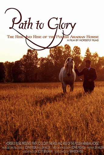 Movie poster for Path to Glory: The Rise and Rise of the Polish Arabian Horse (2011)