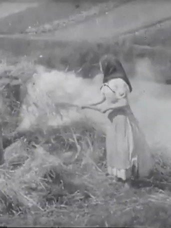 Movie poster for Brûleuses d'herbes (1899)