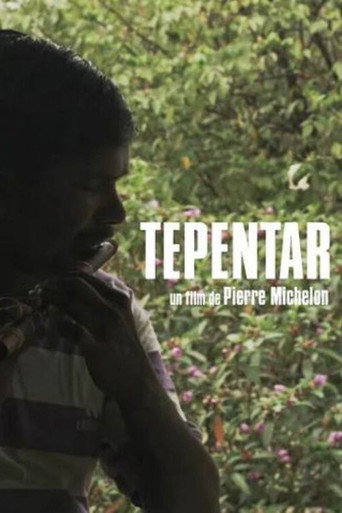 Movie poster for Tepantar (2018)