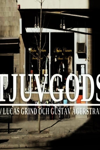 Movie poster for Tjuvgods (2013)