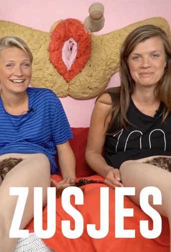Series poster for Zusjes (2013)