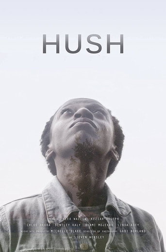 Hush poster