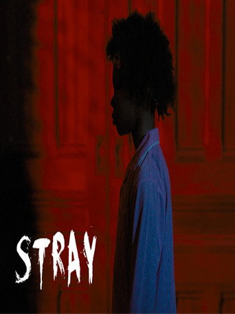 Movie poster for Stray (2020)