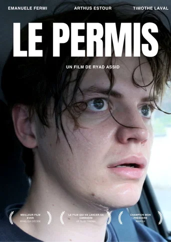 Movie poster for LE PERMIS