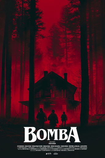 Bomba poster