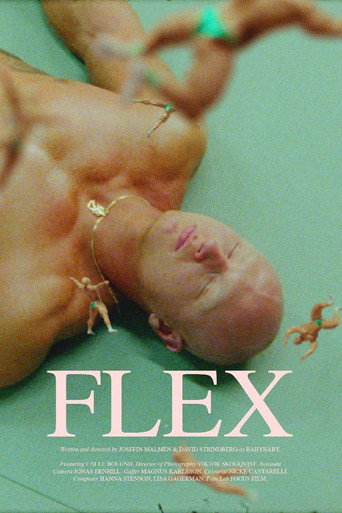 Movie poster for Flex (2020)