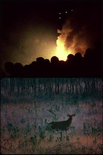 Après le volcan poster