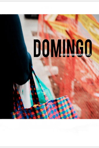 Movie poster for Domingo