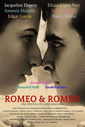 Romeo y Romeo poster