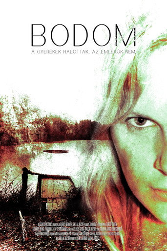 Movie poster for Bodom (2014)