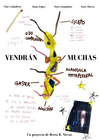 Movie poster for Vendrán muchas