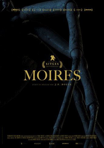 Movie poster for Moires (2020)