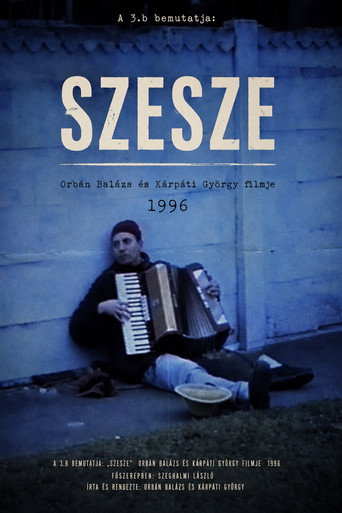 Movie poster for Szesze