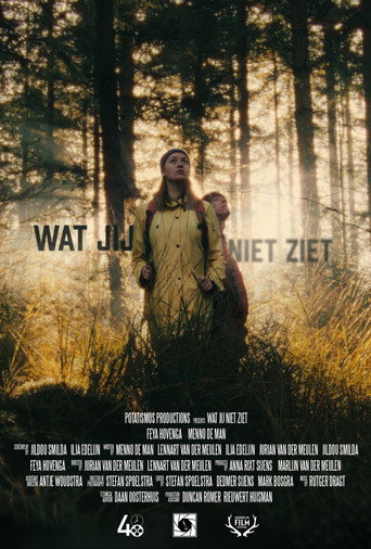 Movie poster for wat jij niet ziet (2021)
