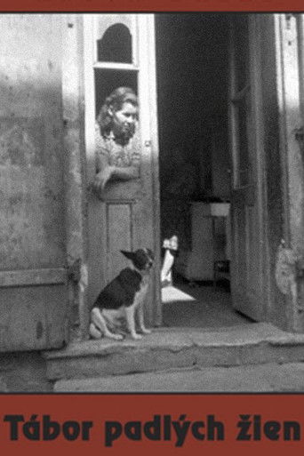 Camp of Fallen Women poster