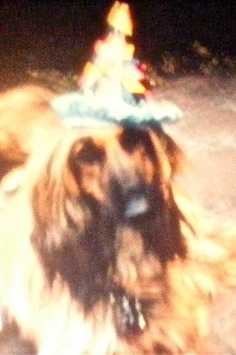 Movie poster for Ron Amok (Dog Party) (1977)